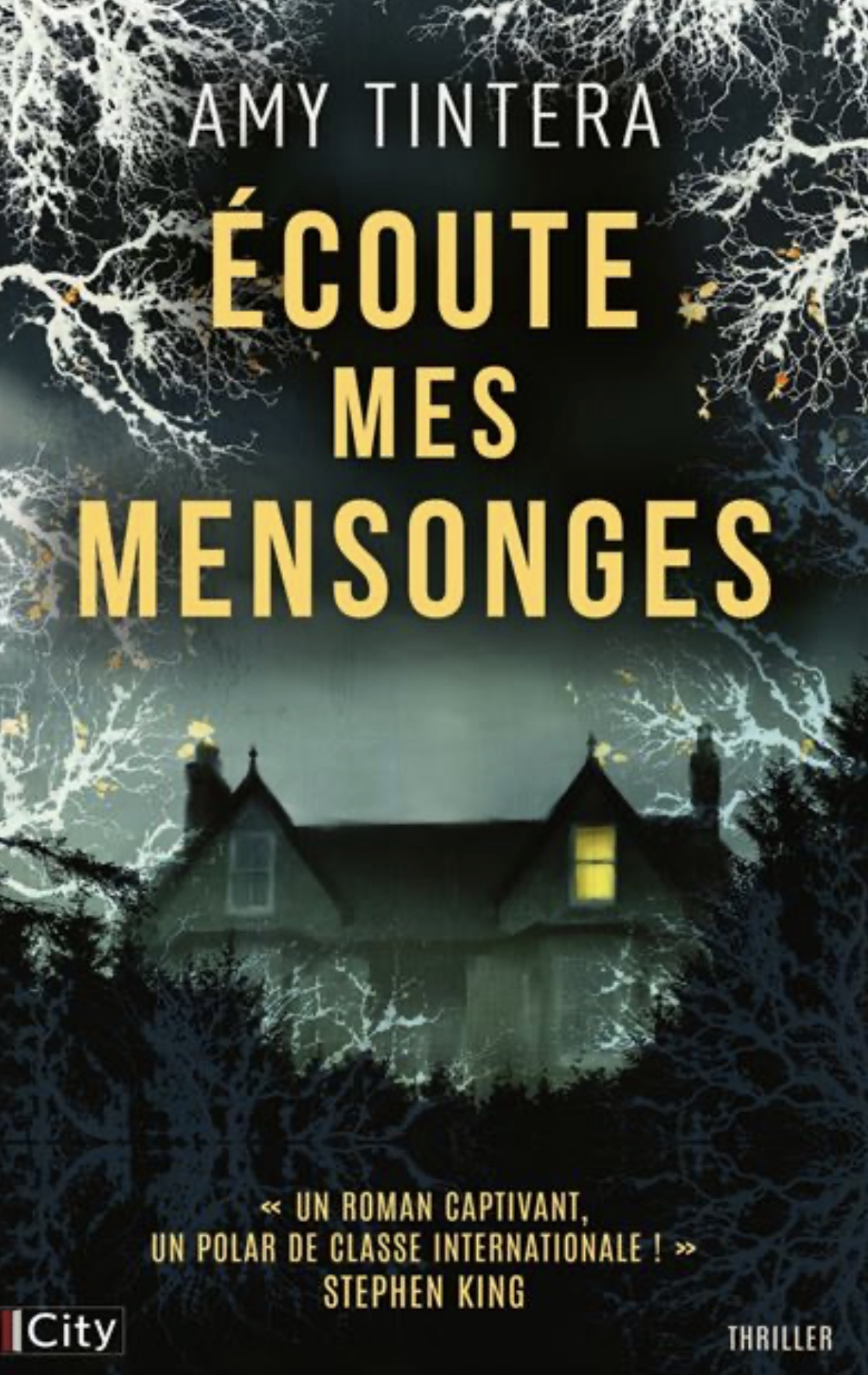 Écoutes Mes Mensonges