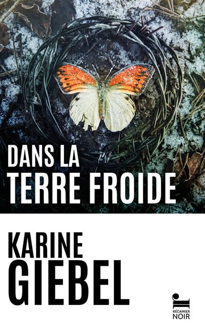 Couverture de Dans la terre froide